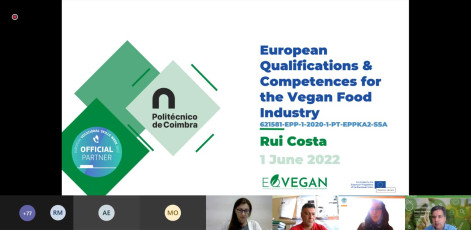 European-Qualifications-&-Competences-for-the-VFI-Intro